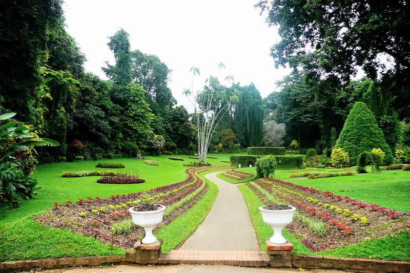 Sri Lanka, Kandy, Royal Botanical Garden